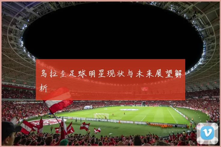 乌拉圭足球明星现状与未来展望解析