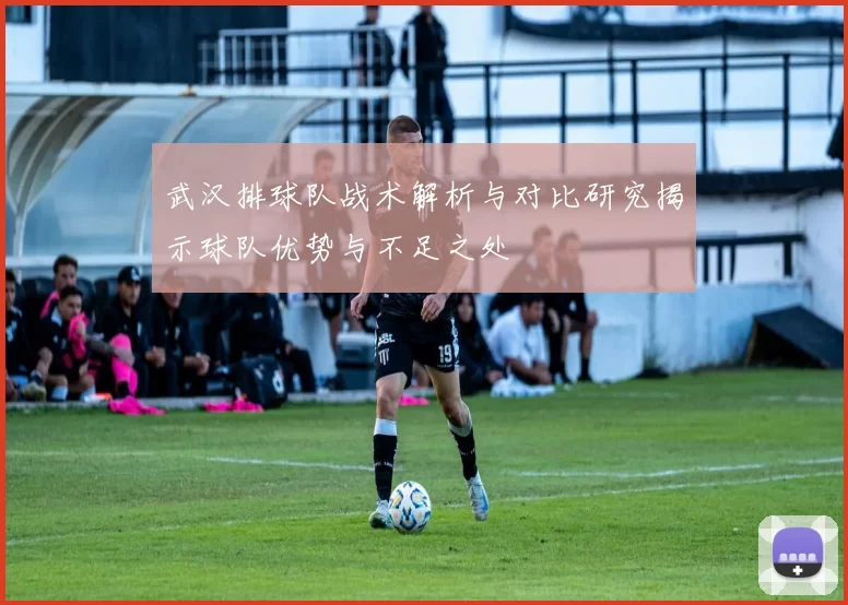 武汉排球队战术解析与对比研究揭示球队优势与不足之处